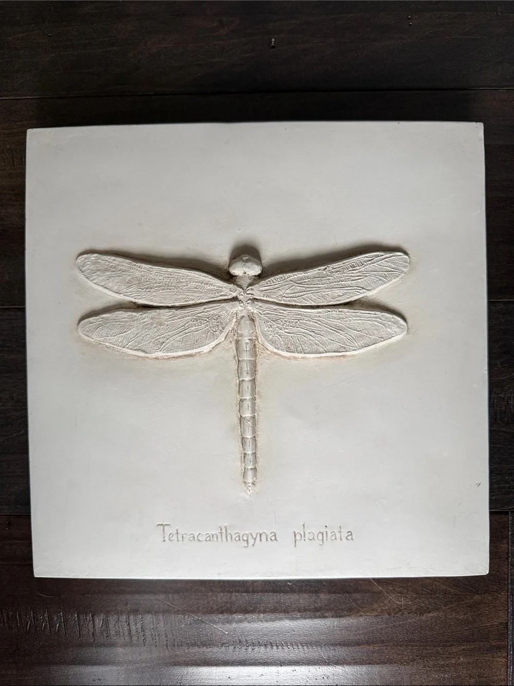 Neutral White Dragonfly Wall Plaque - Home Wall Decor